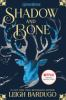 Book cover for "Shadow and bone".